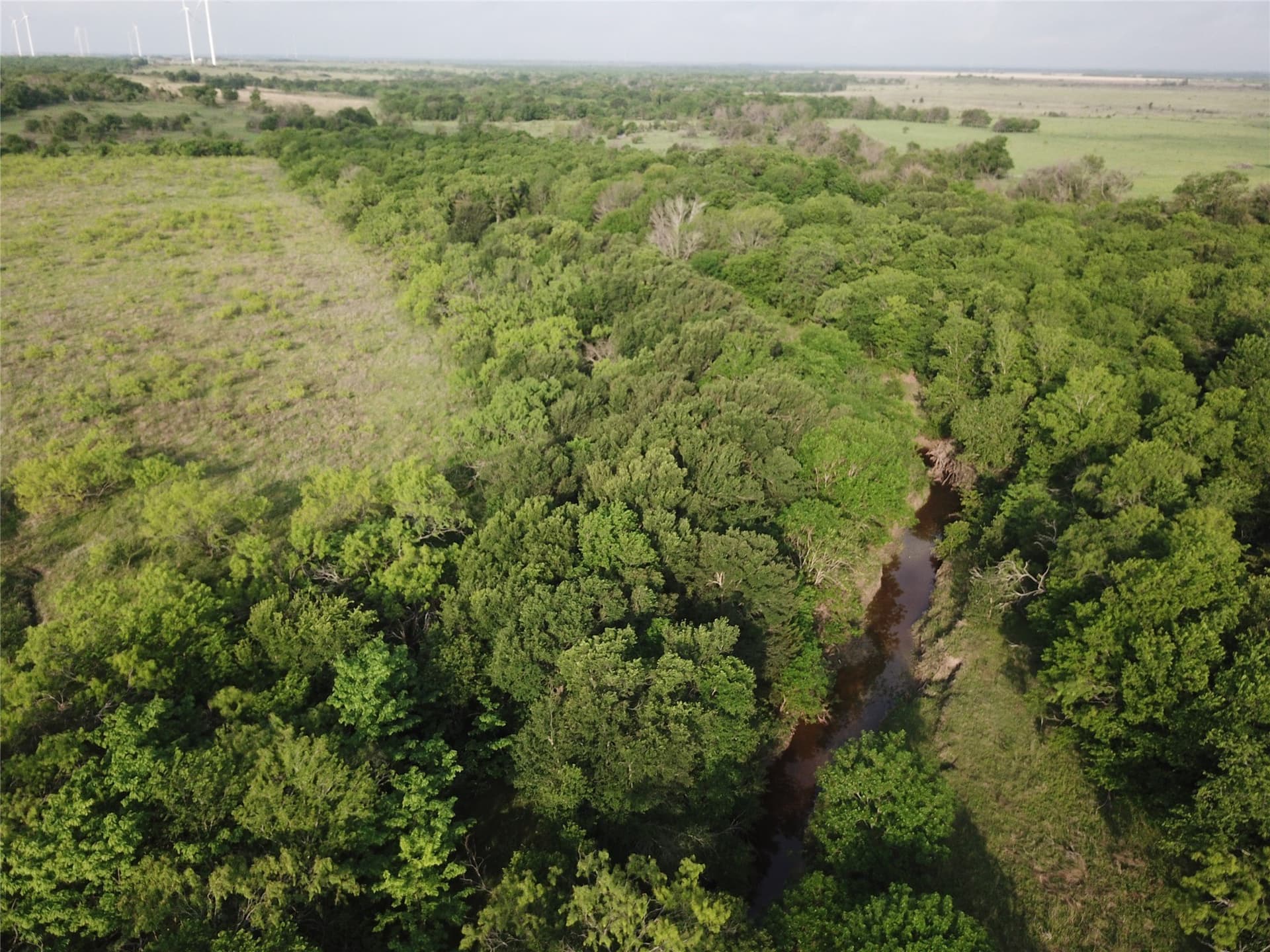 321.92 acres in Limestone County - photo 31