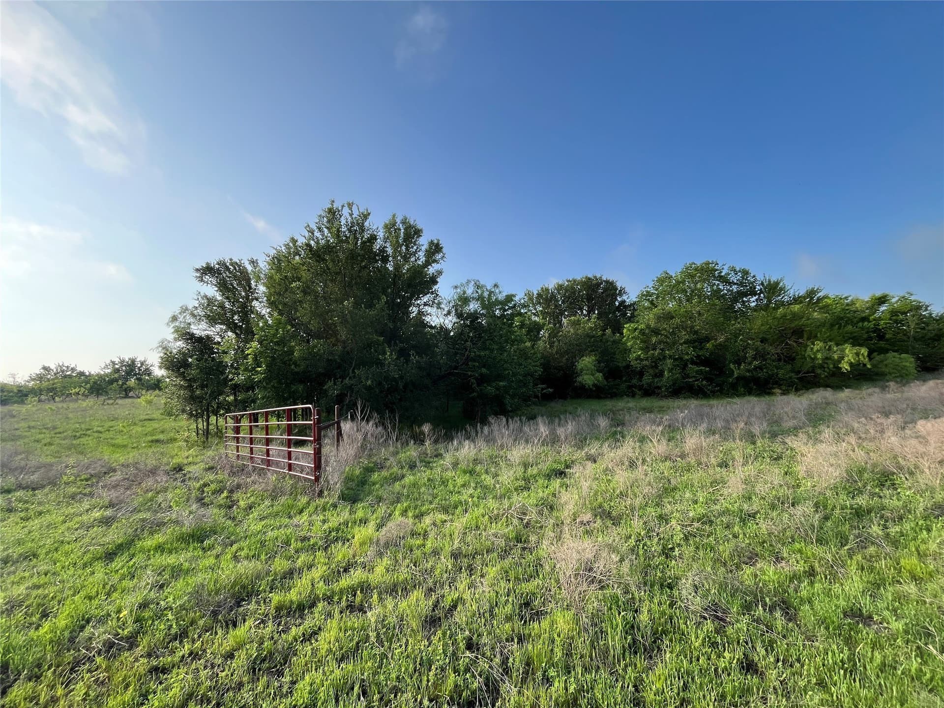 321.92 acres in Limestone County - photo 22