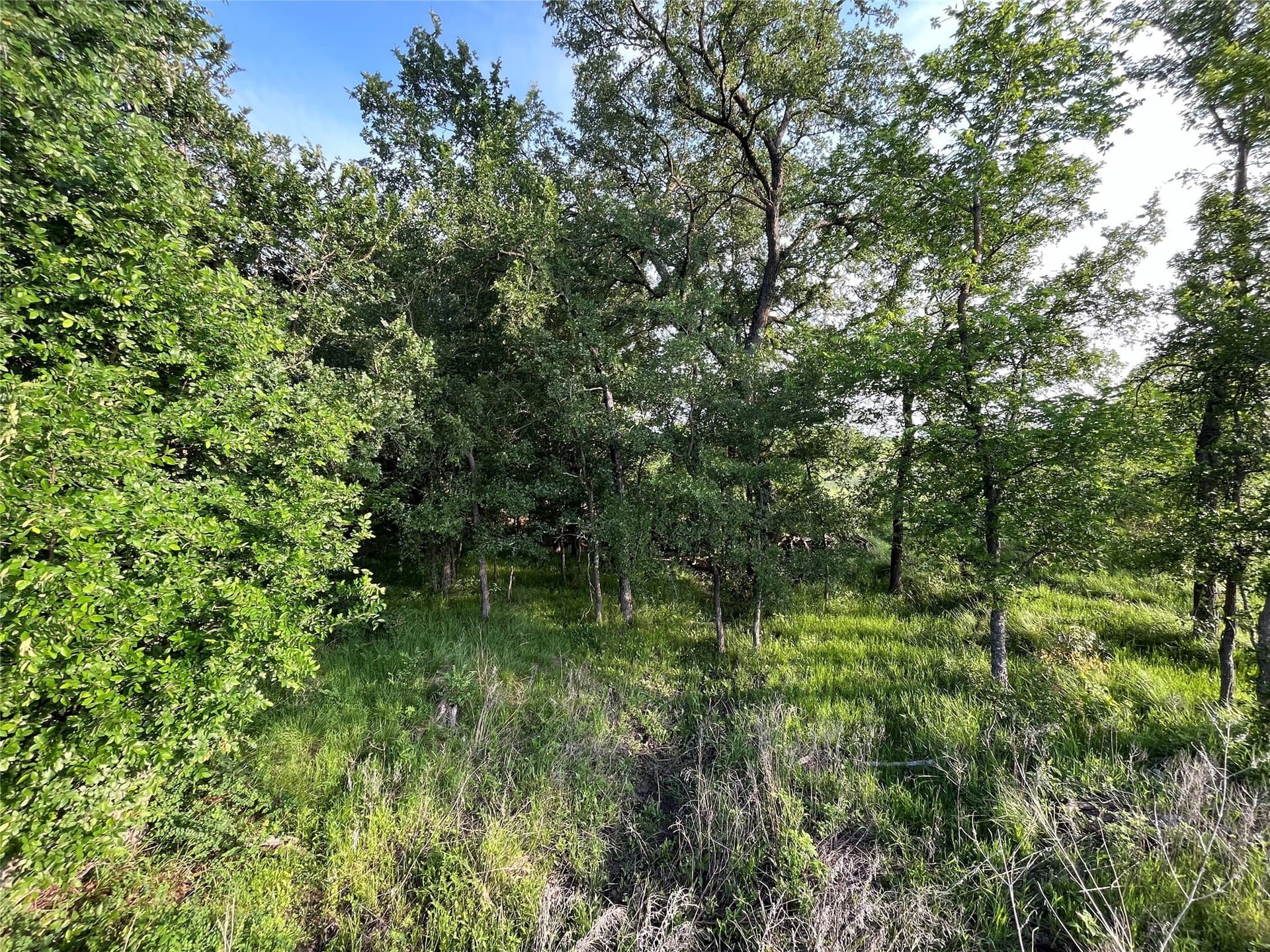 321.92 acres in Limestone County - photo 23
