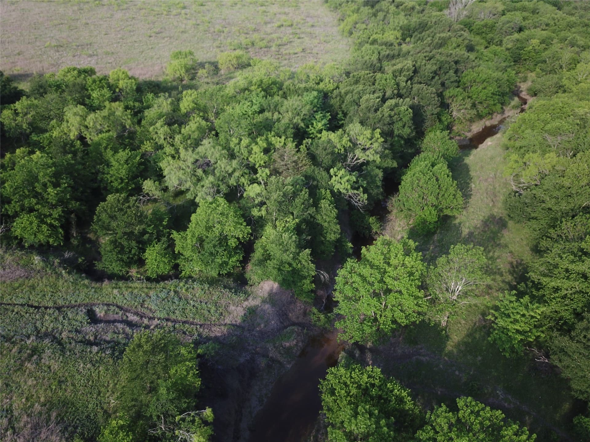321.92 acres in Limestone County - photo 11