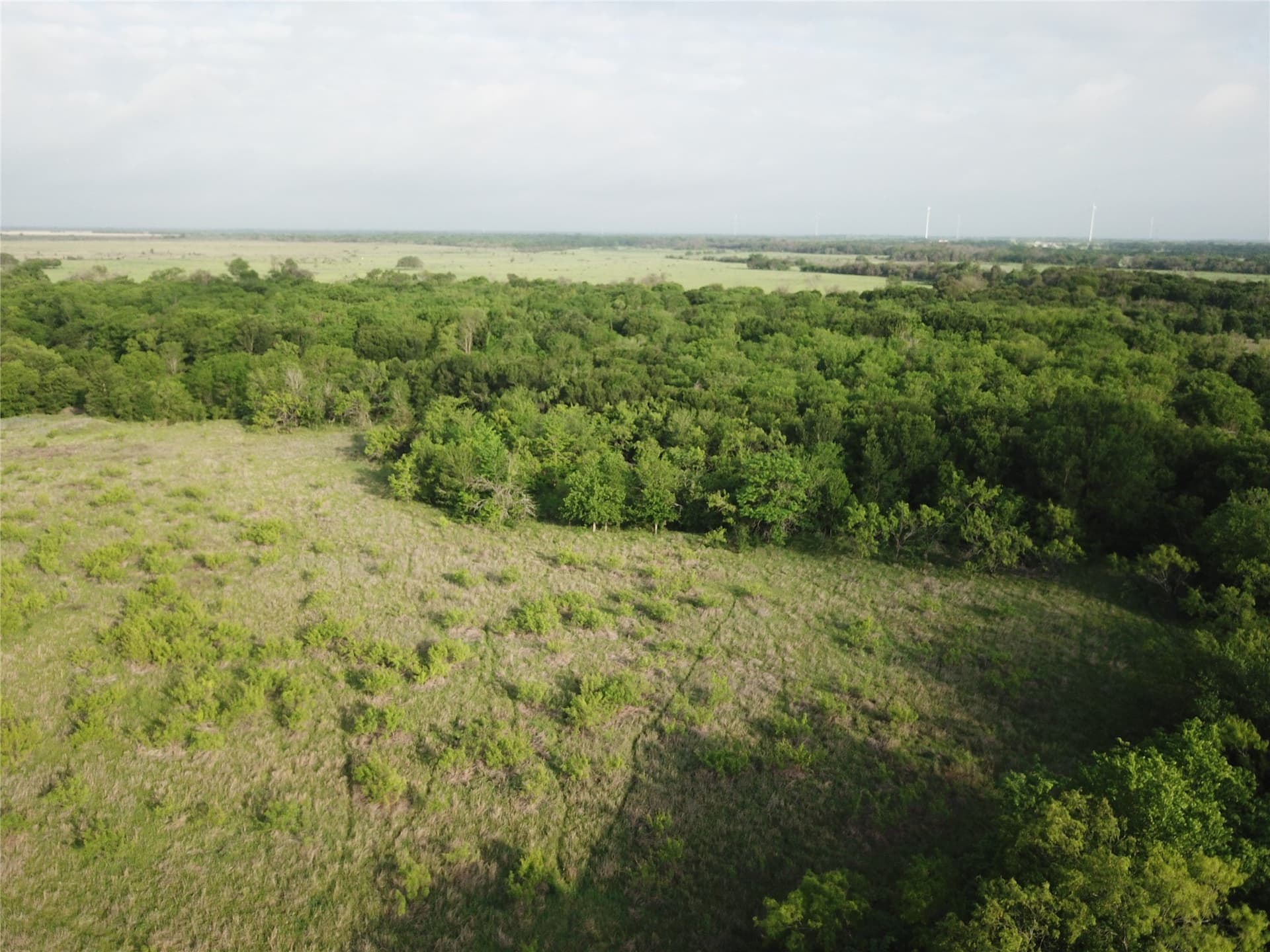 321.92 acres in Limestone County - photo 28