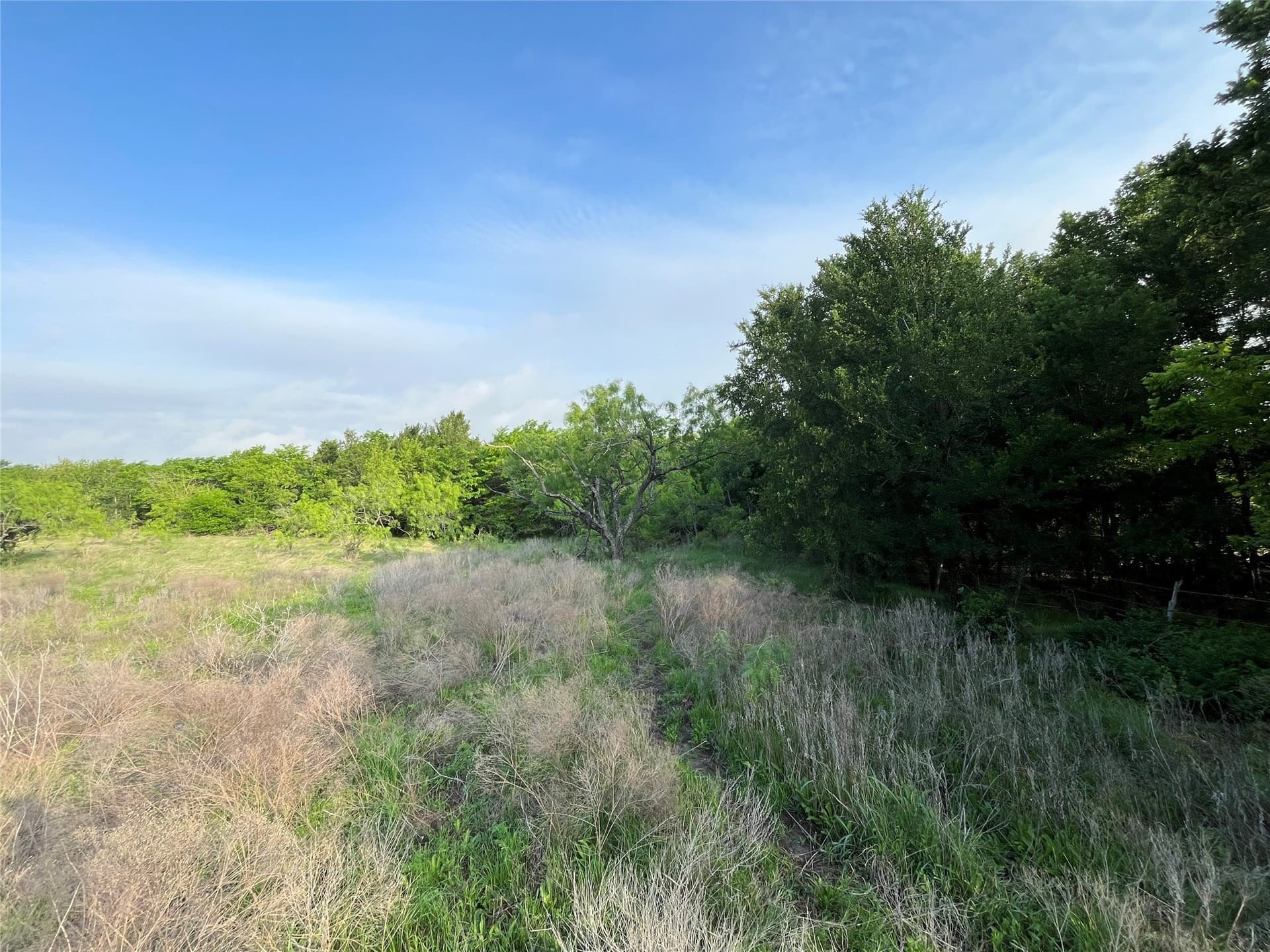 321.92 acres in Limestone County - photo 19