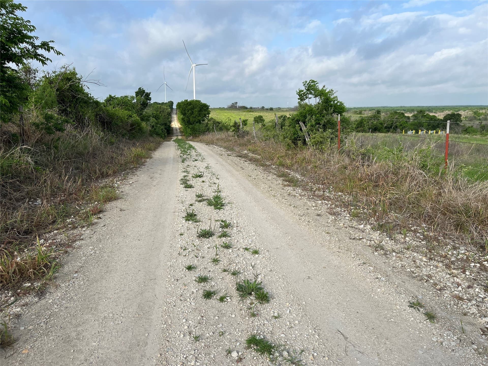 321.92 acres in Limestone County - photo 33