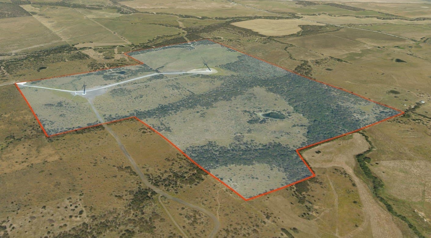 321.92 acres in Limestone County - photo 34