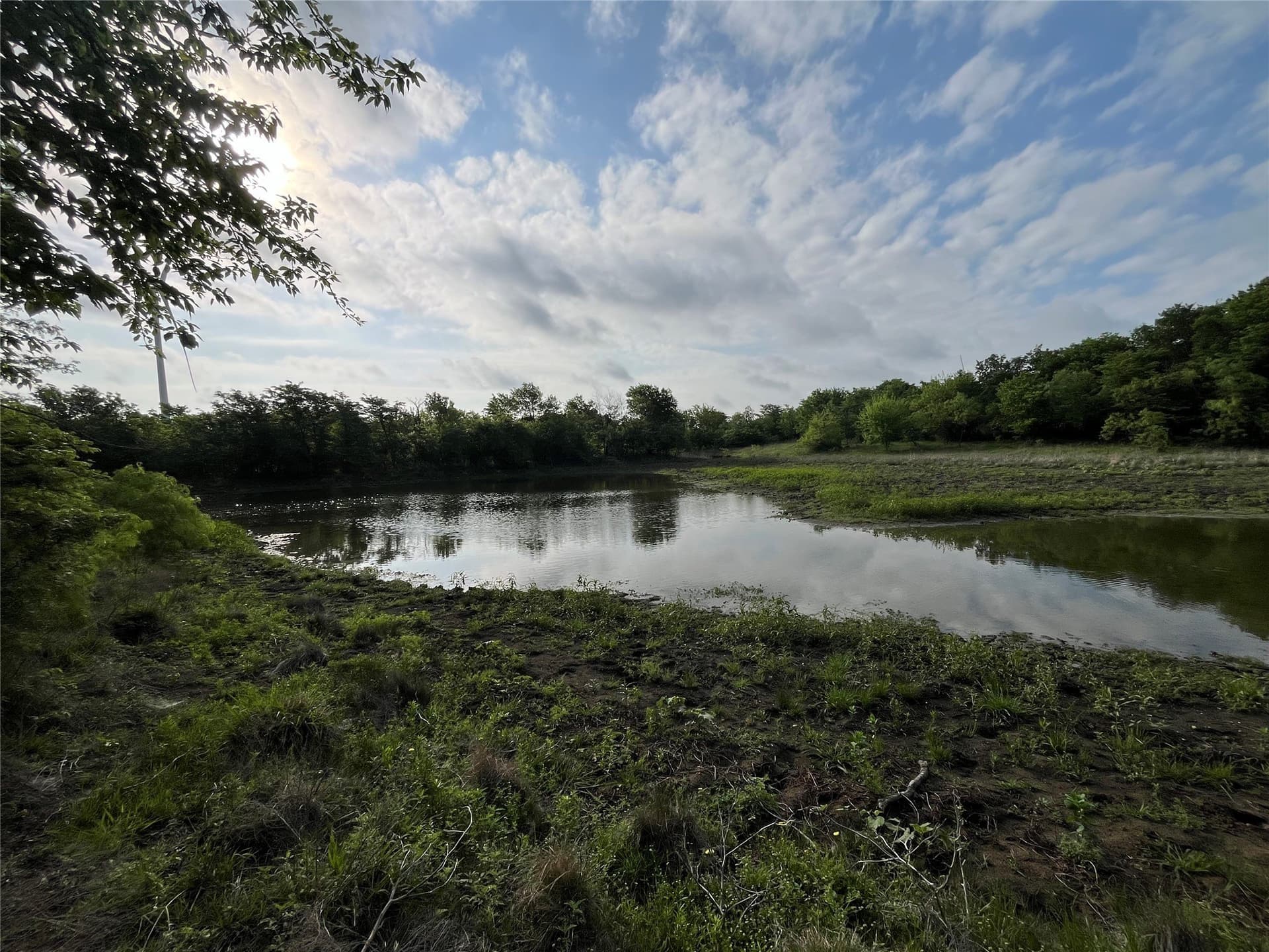 321.92 acres in Limestone County - photo 26