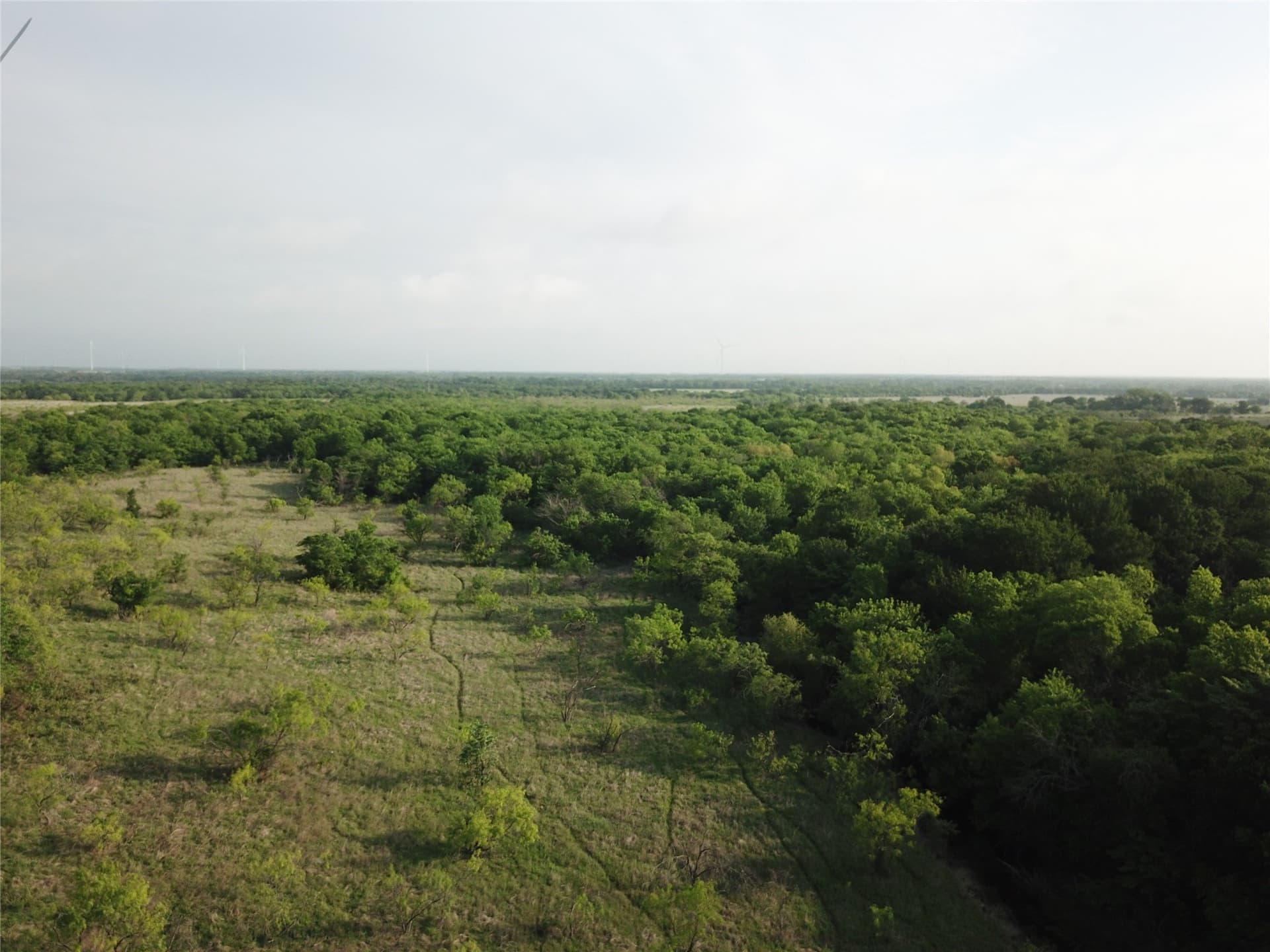 321.92 acres in Limestone County - photo 7