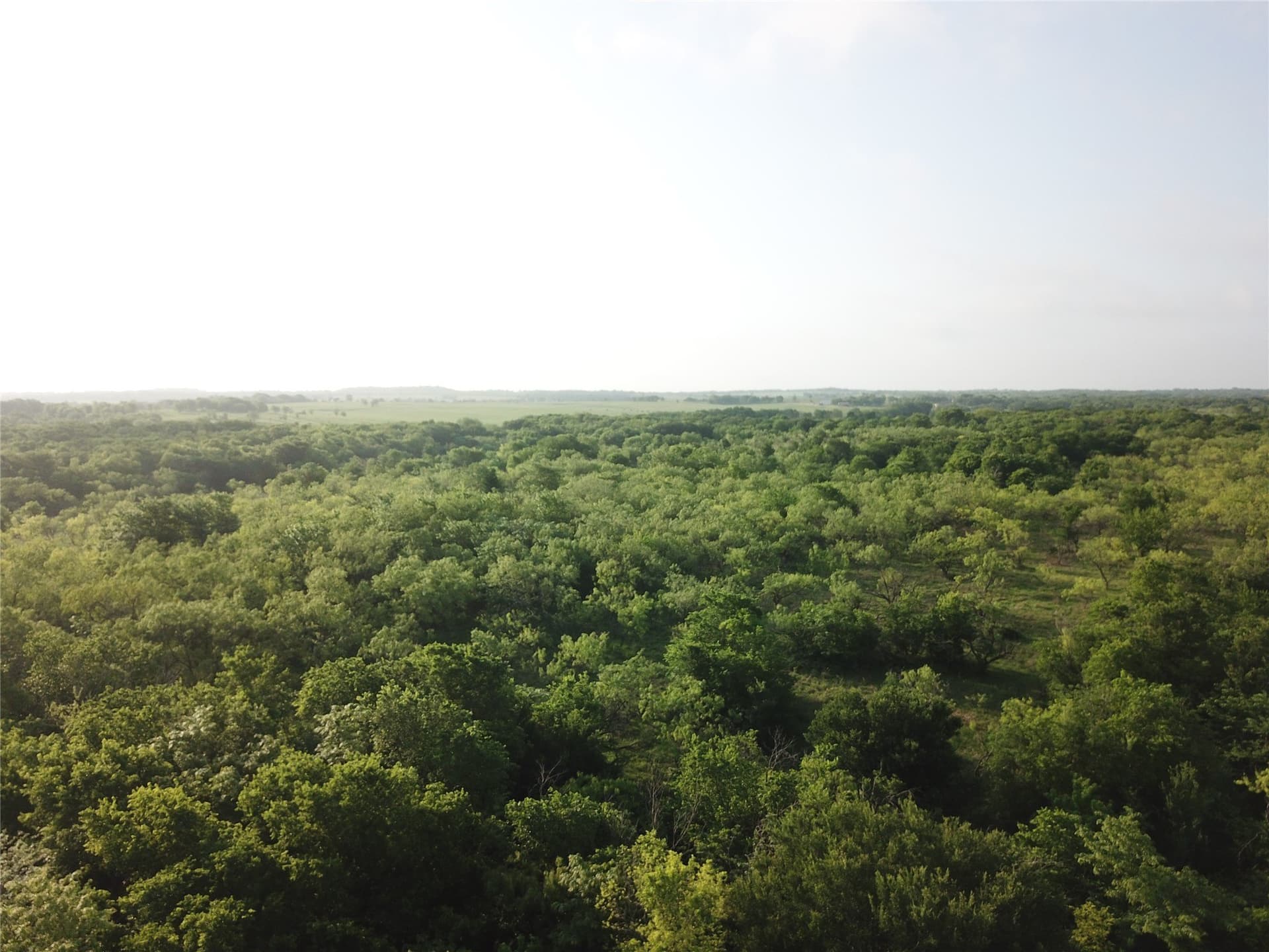 321.92 acres in Limestone County - photo 18