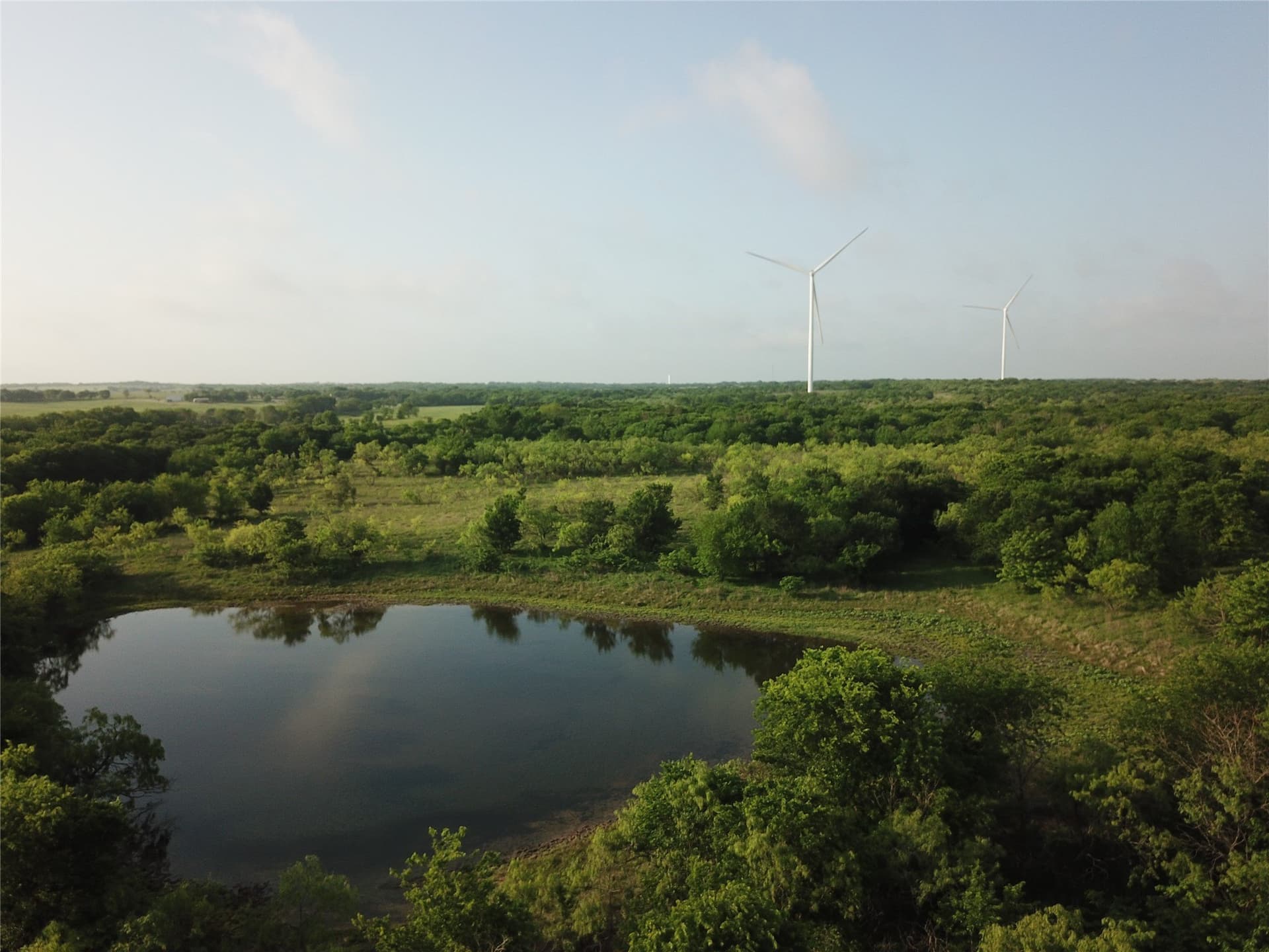 321.92 acres in Limestone County - photo 20