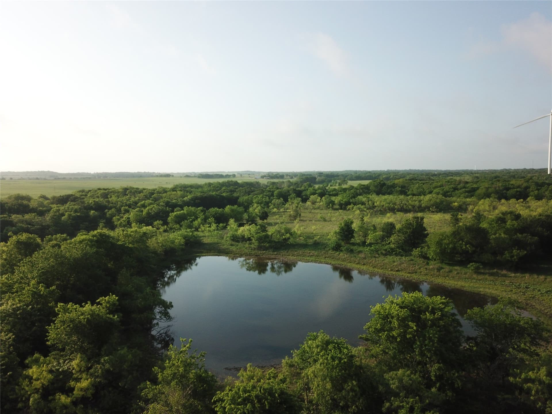 321.92 acres in Limestone County - photo 6