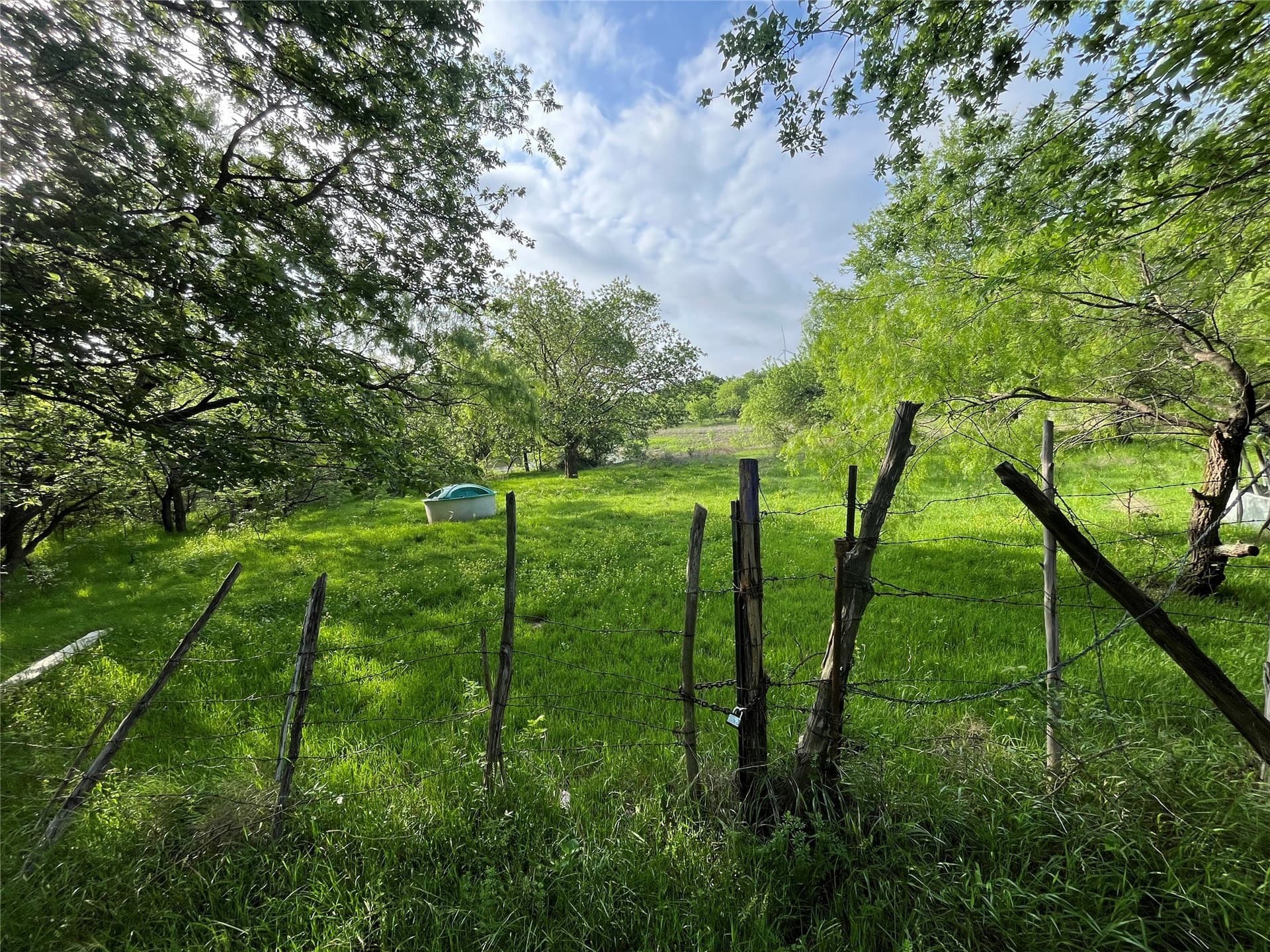 321.92 acres in Limestone County - photo 14
