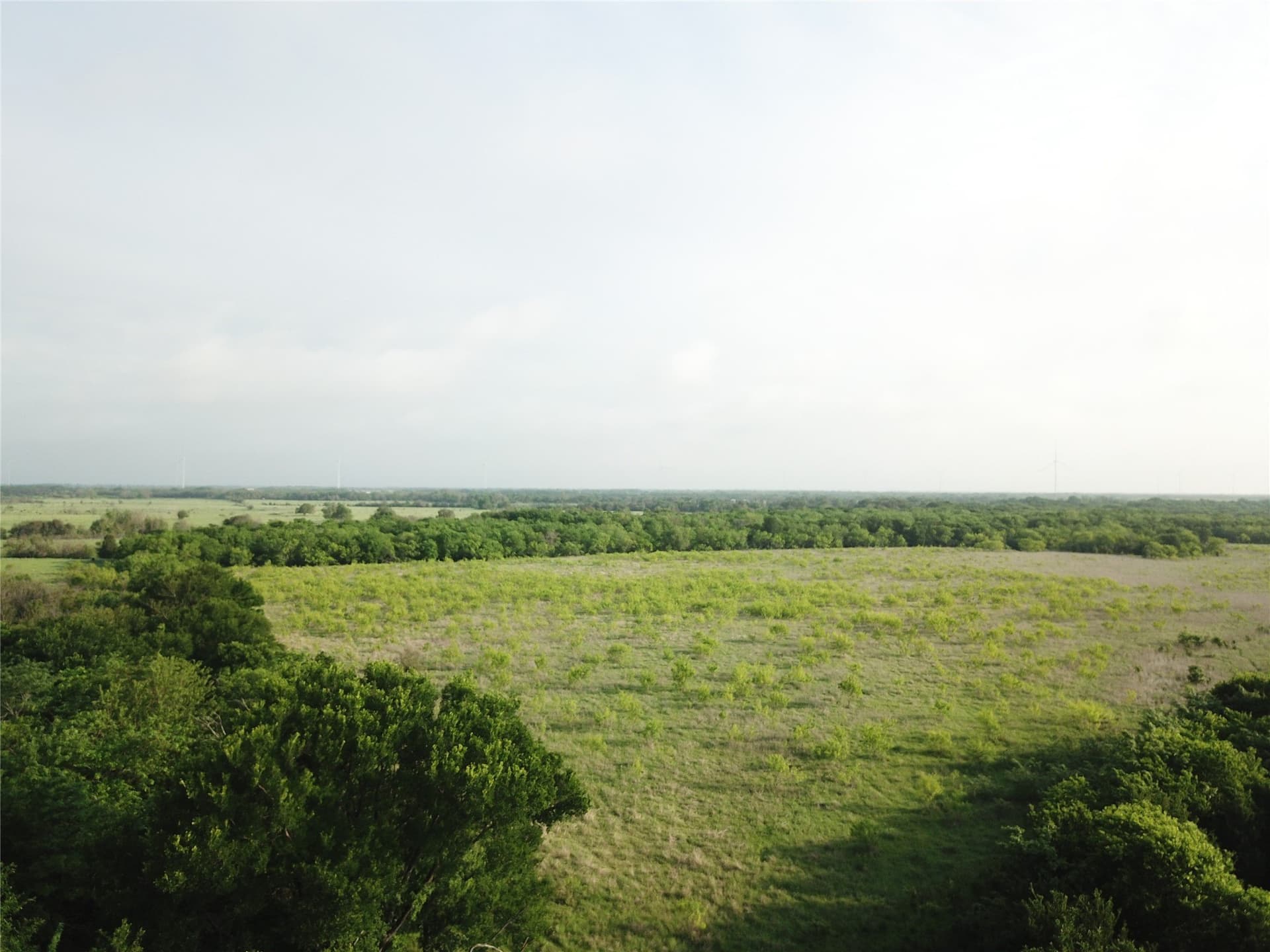 321.92 acres in Limestone County - photo 15