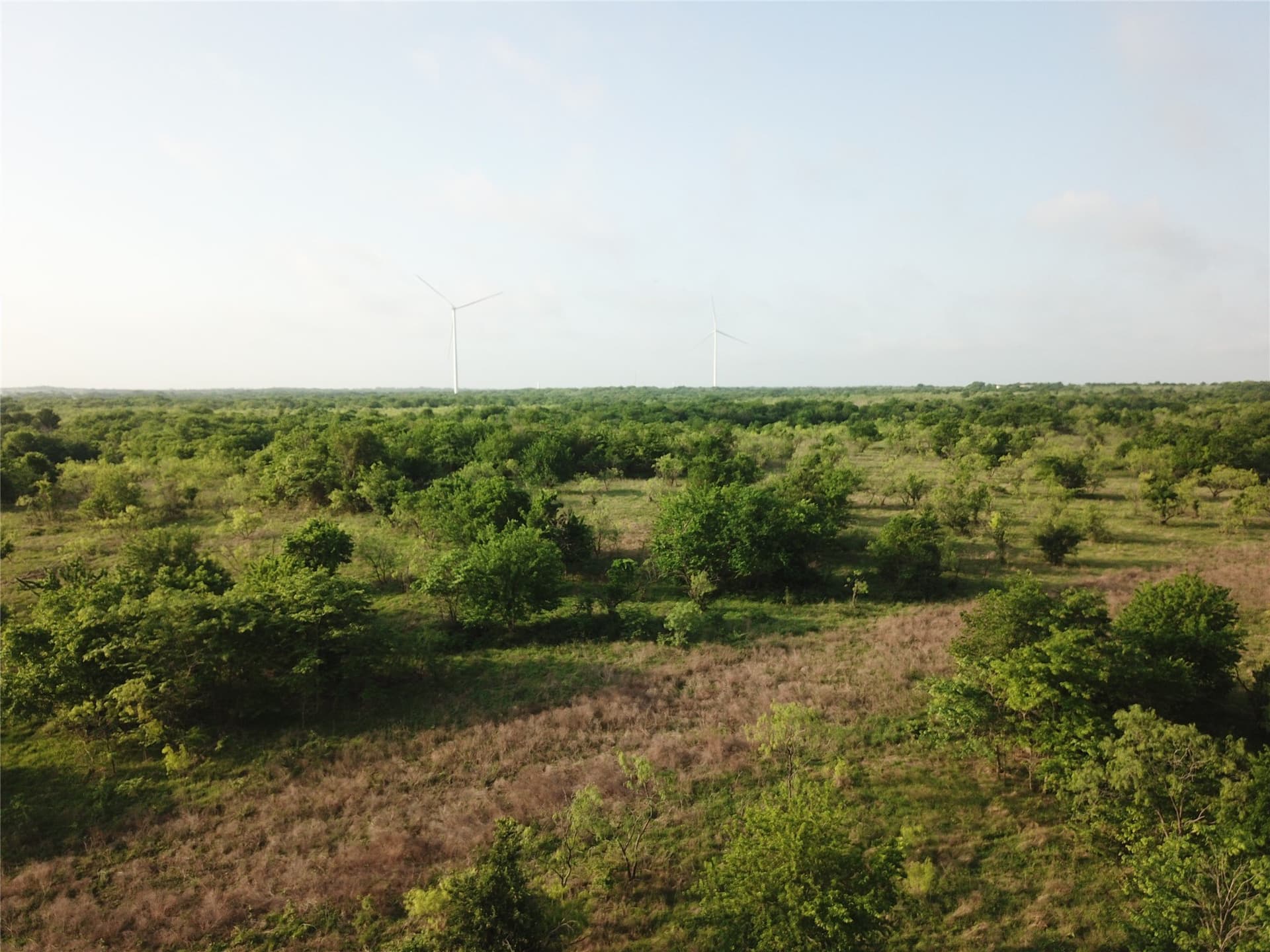 308.64 acres in Limestone County featured view