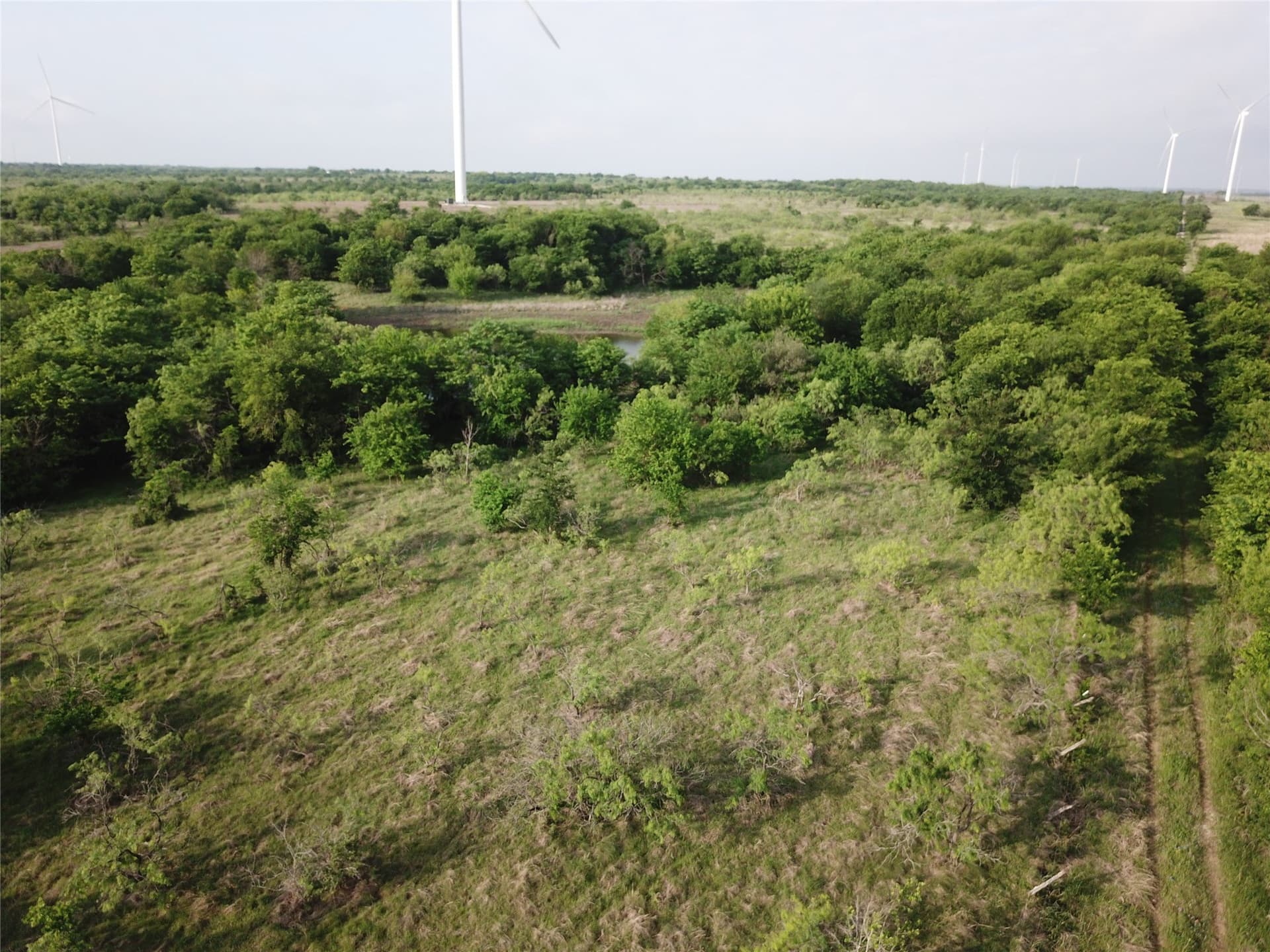 321.92 acres in Limestone County - photo 10