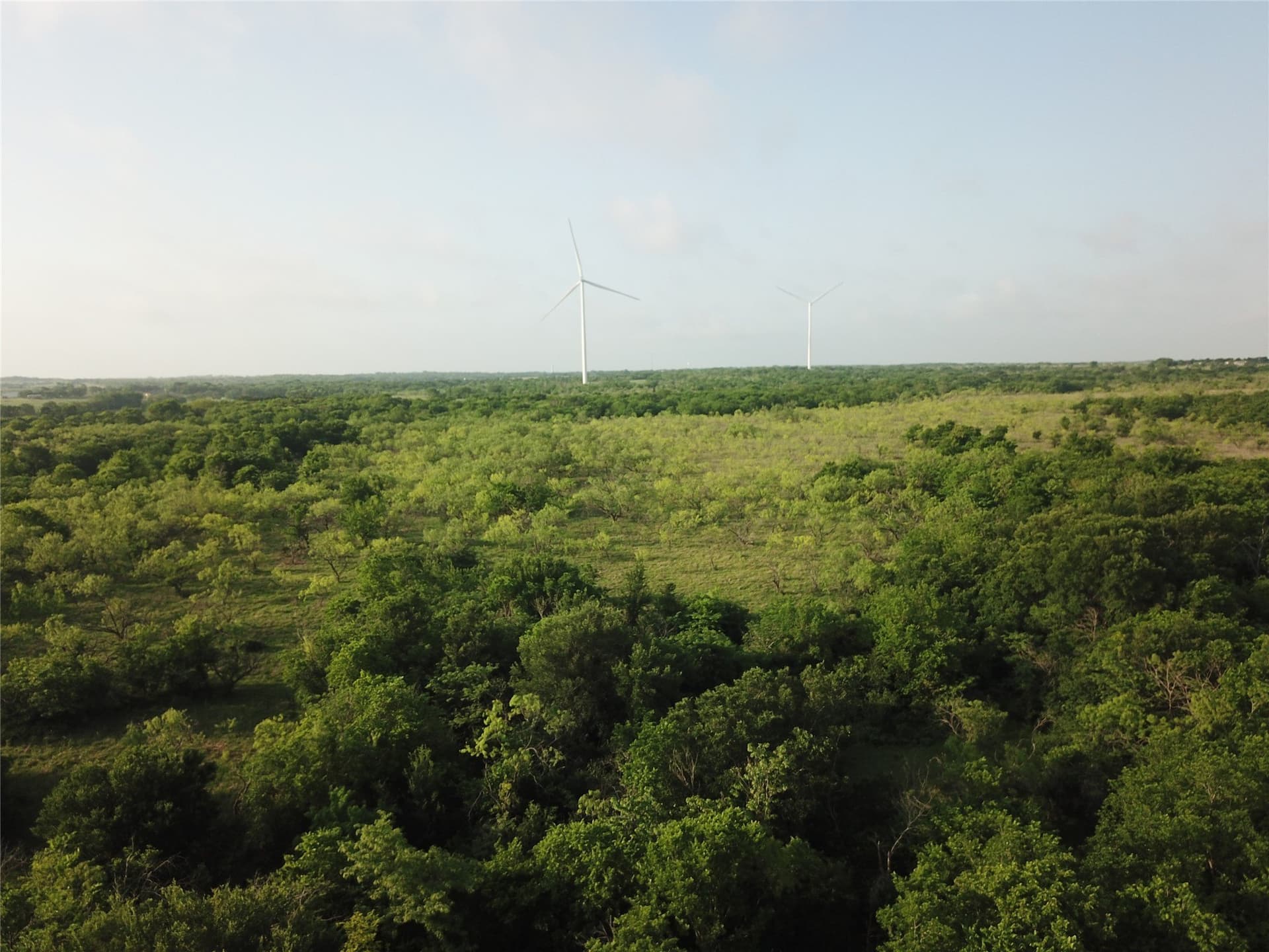321.92 acres in Limestone County - photo 17