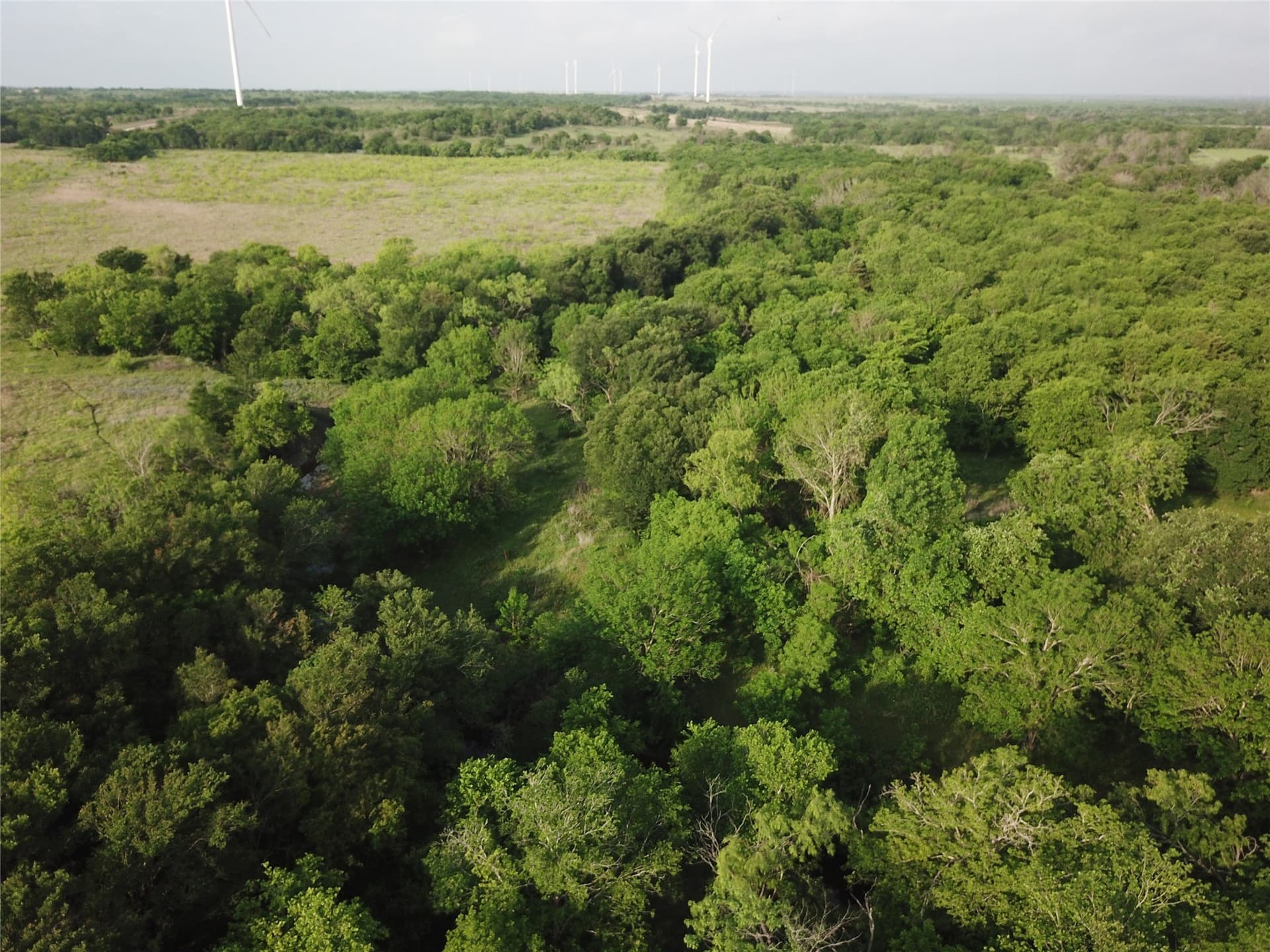 321.92 acres in Limestone County - photo 30