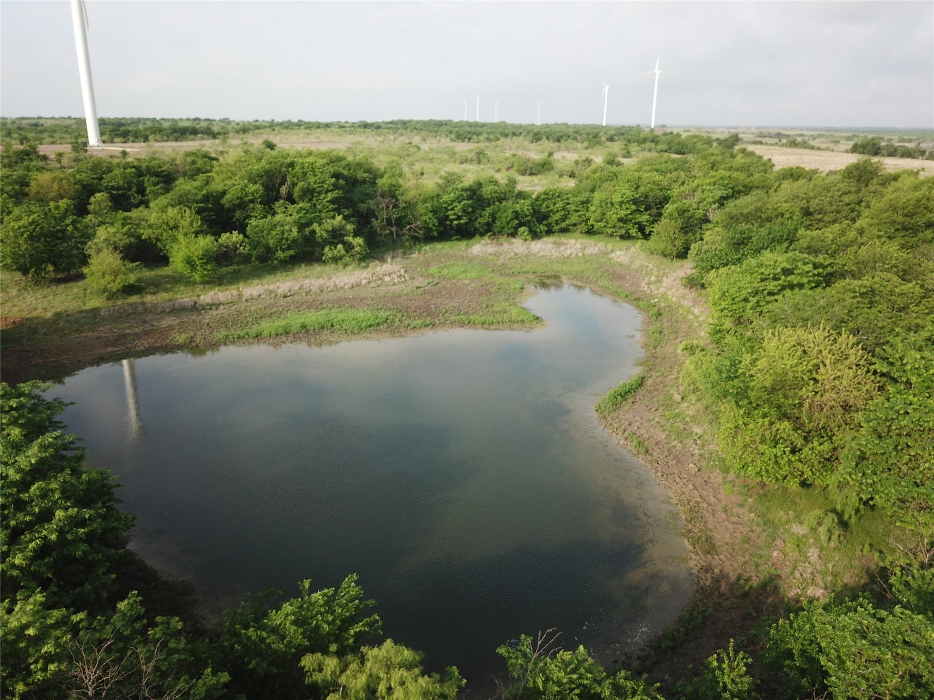 321.92 acres in Limestone County - photo 8