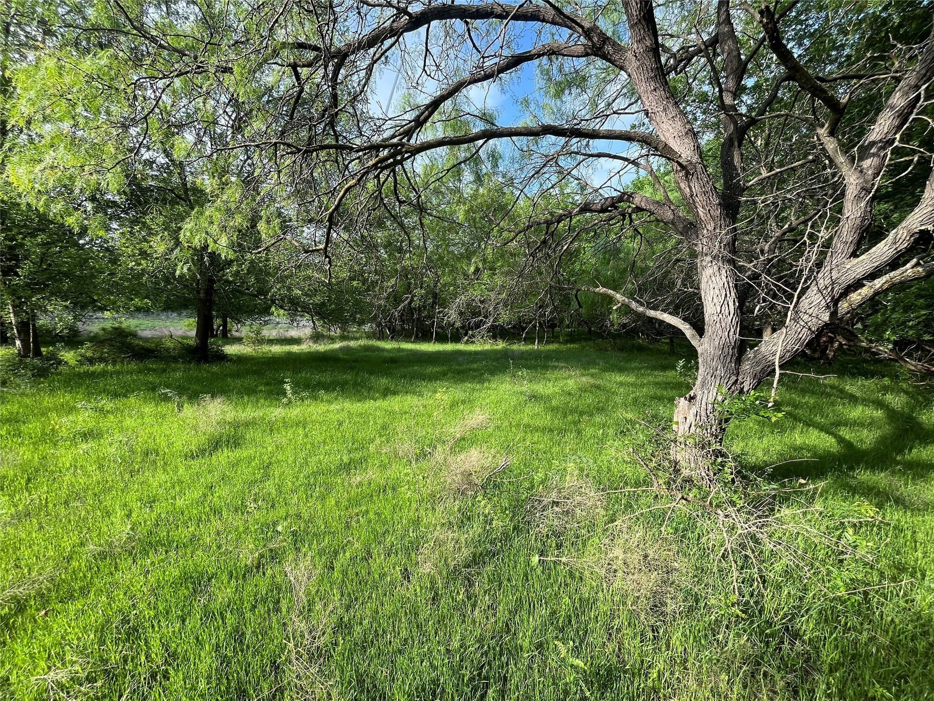 321.92 acres in Limestone County - photo 13