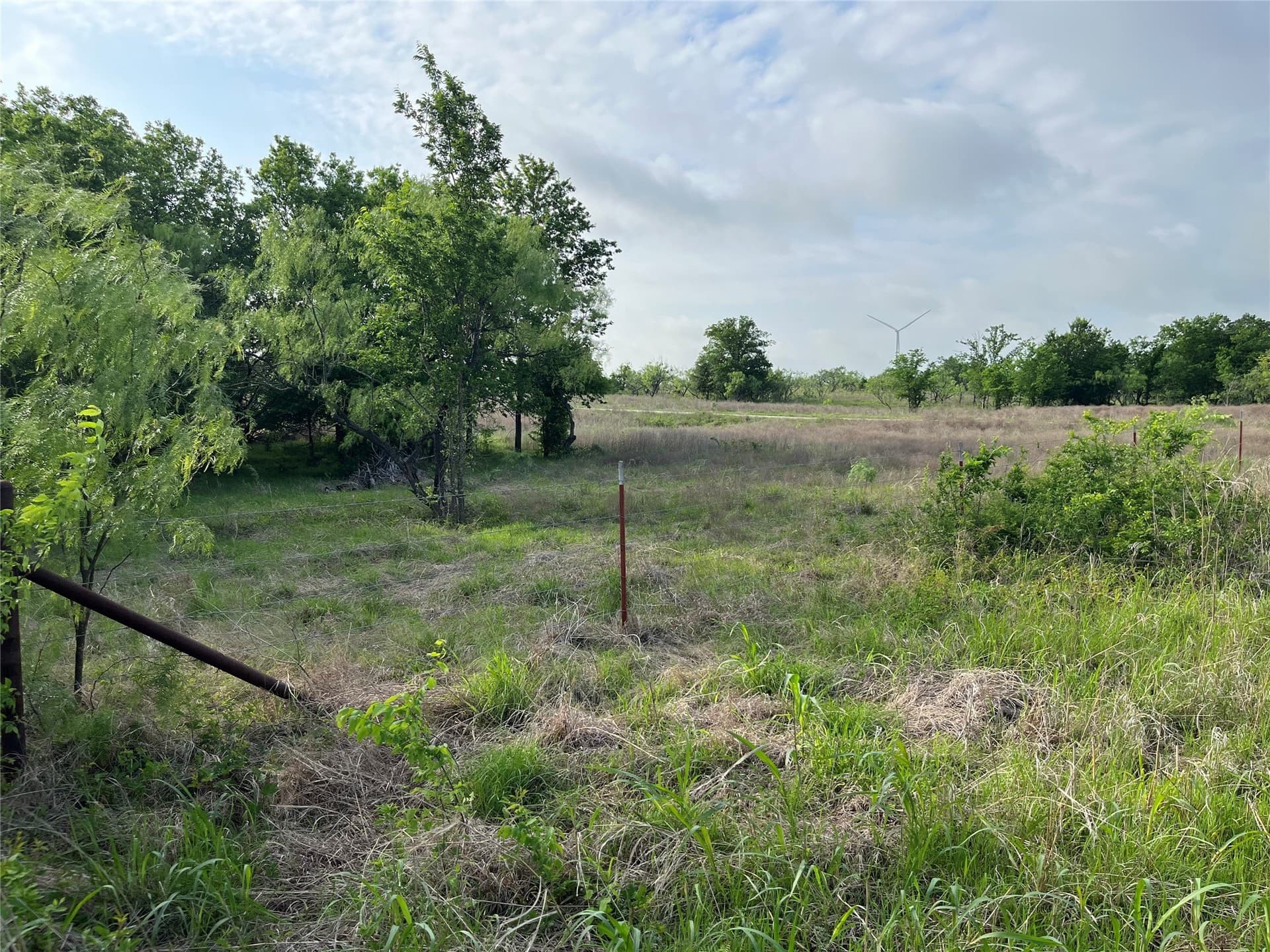 321.92 acres in Limestone County - photo 32