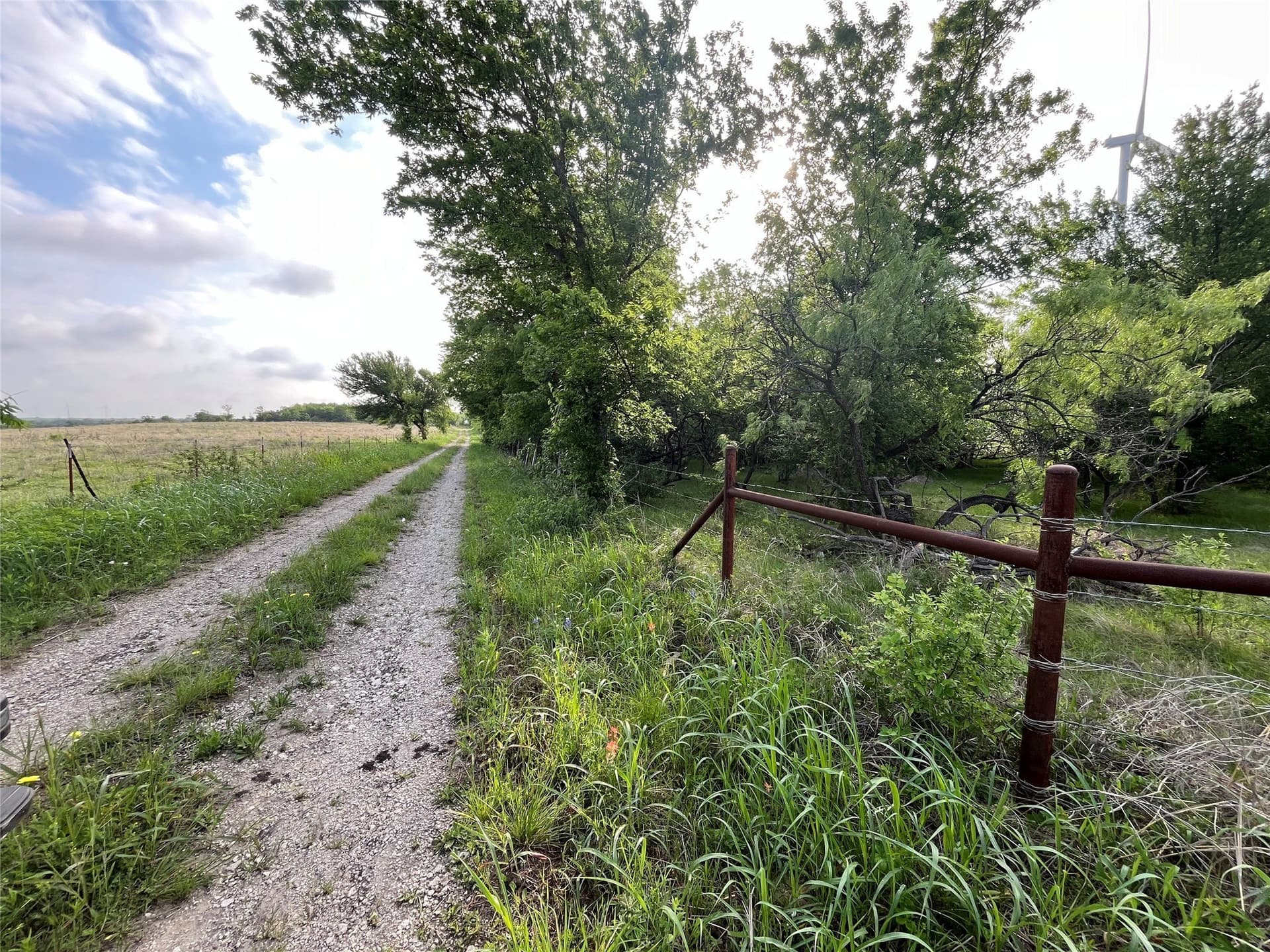 308.64 acres in Limestone County gallery image 2