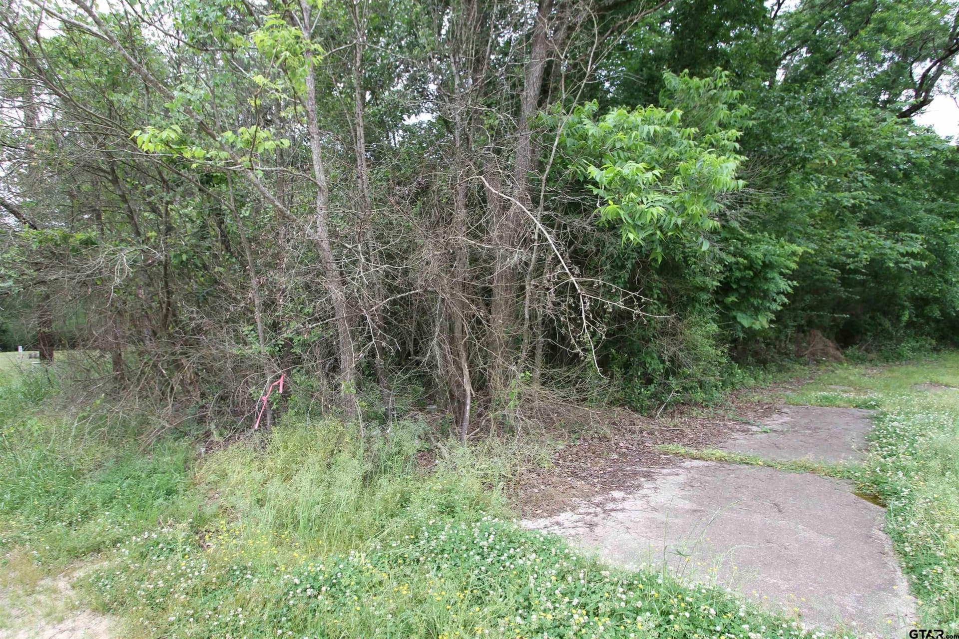 0.69 acres in Marion County gallery image 2