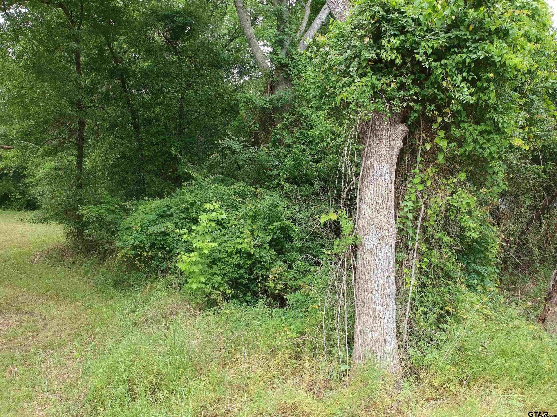 0.69 acres in Marion County featured view
