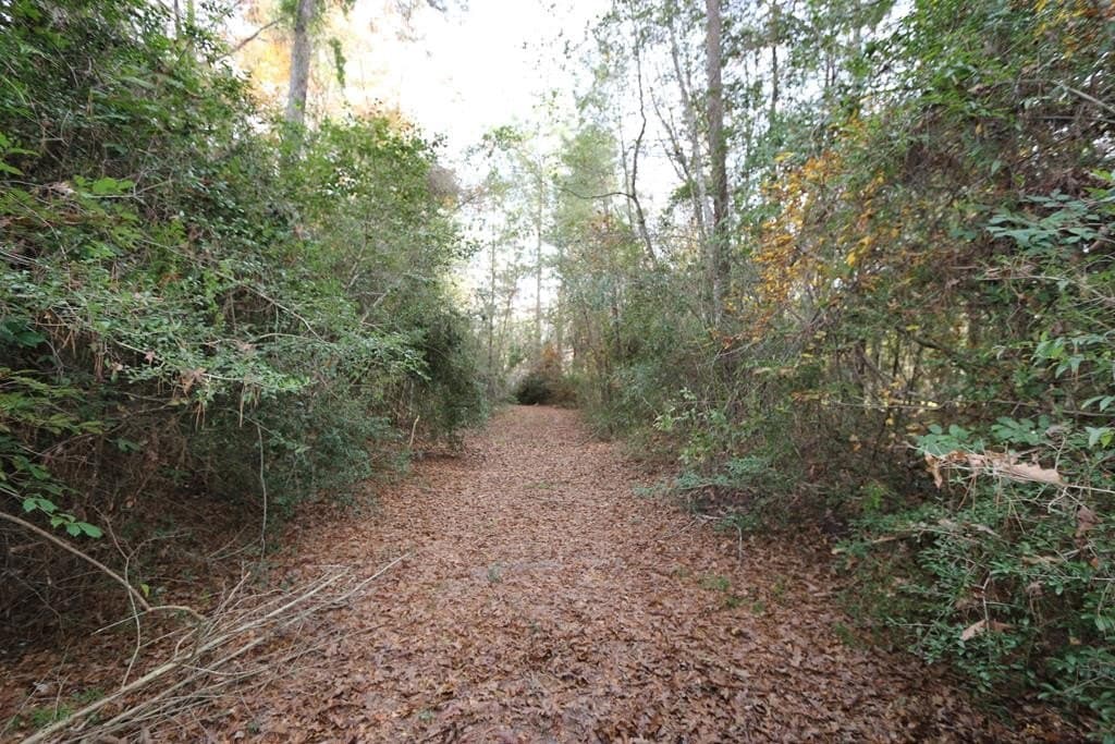 47.5 acres in Texas County - photo 23