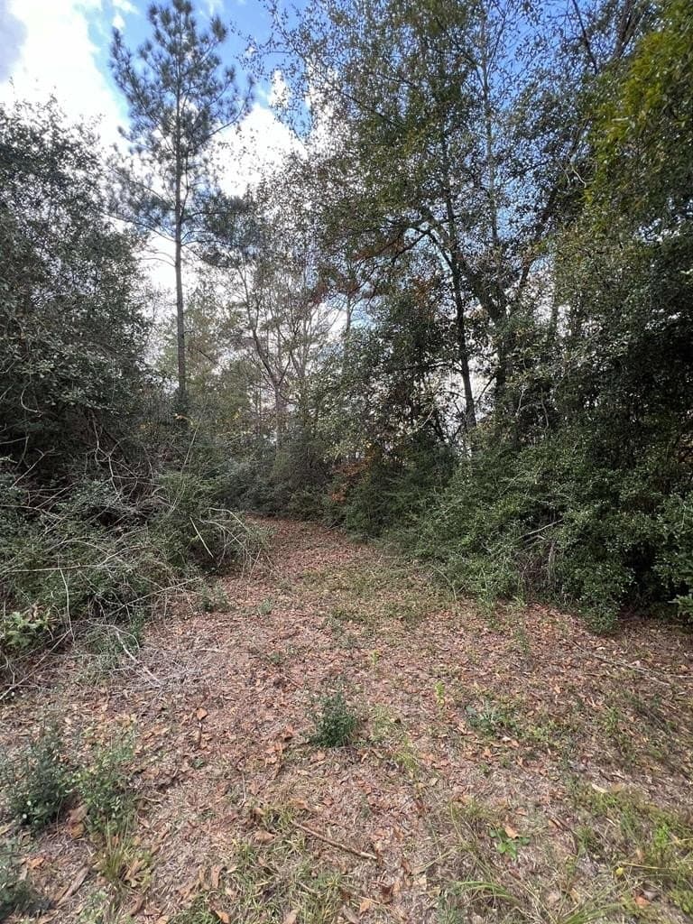 47.5 acres in Texas County - photo 20