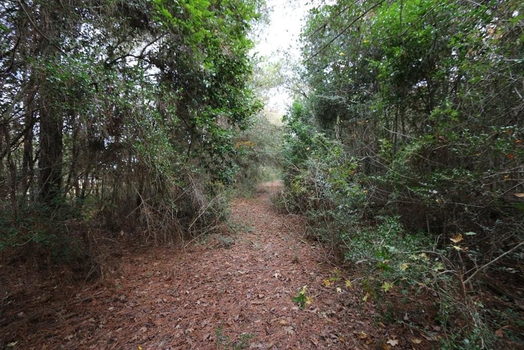 47.5 acres in Texas County - photo 26