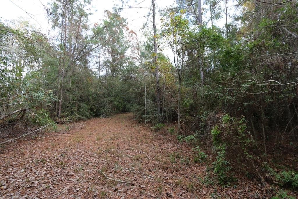 47.5 acres in Texas County - photo 28
