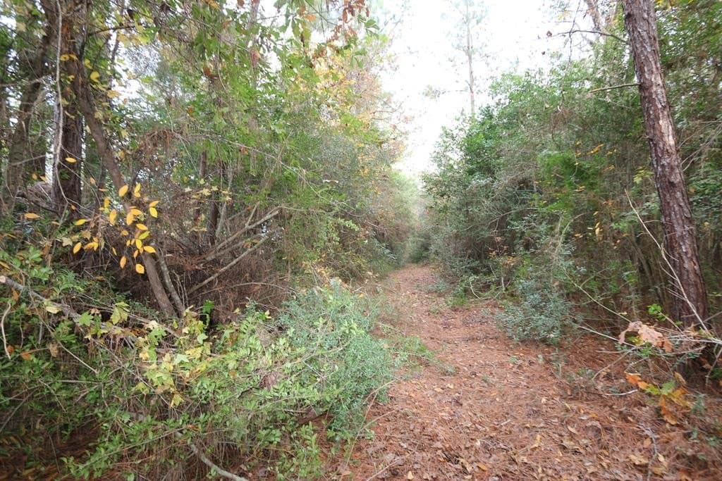 47.5 acres in Texas County - photo 25