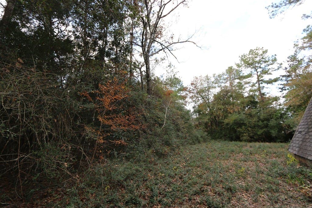 47.5 acres in Texas County - photo 16