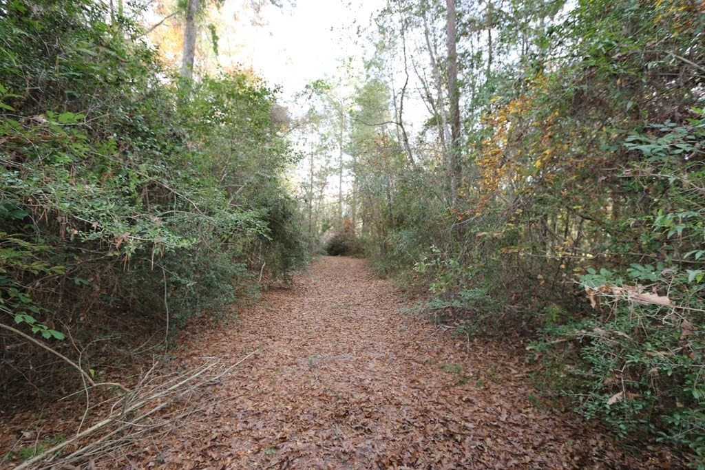 47.5 acres in Texas County - photo 14