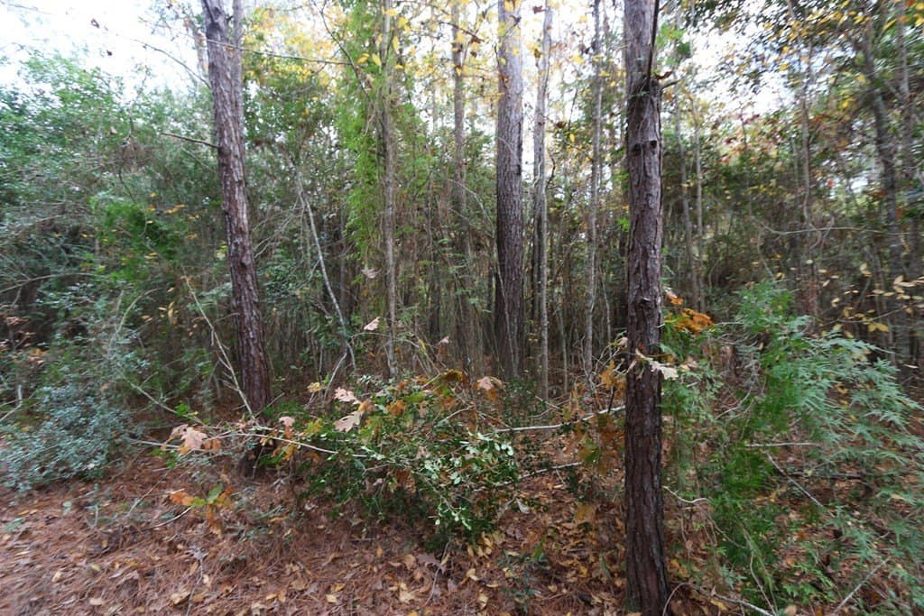 47.5 acres in Texas County - photo 11