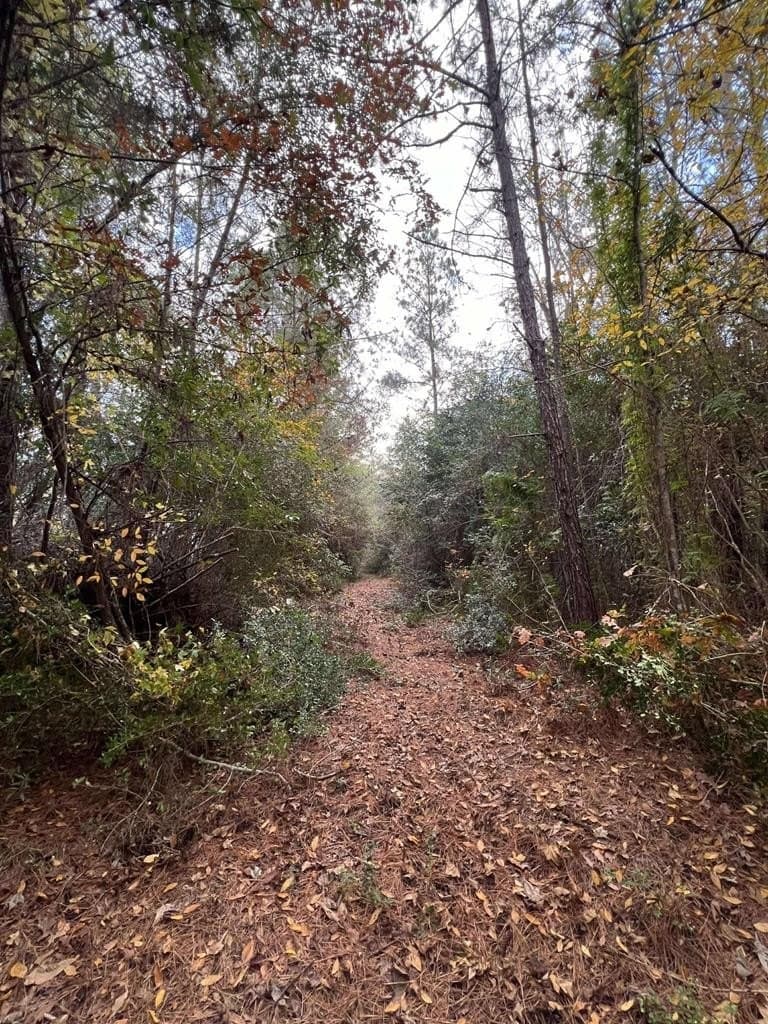 47.5 acres in Texas County - photo 19