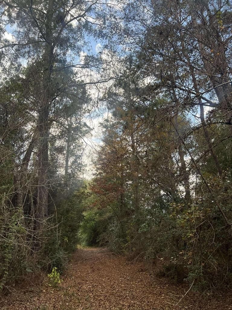 47.5 acres in Texas County - photo 21