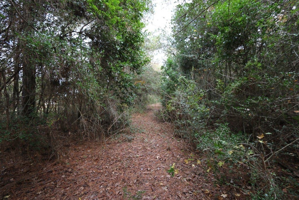 47.5 acres in Texas County - photo 7