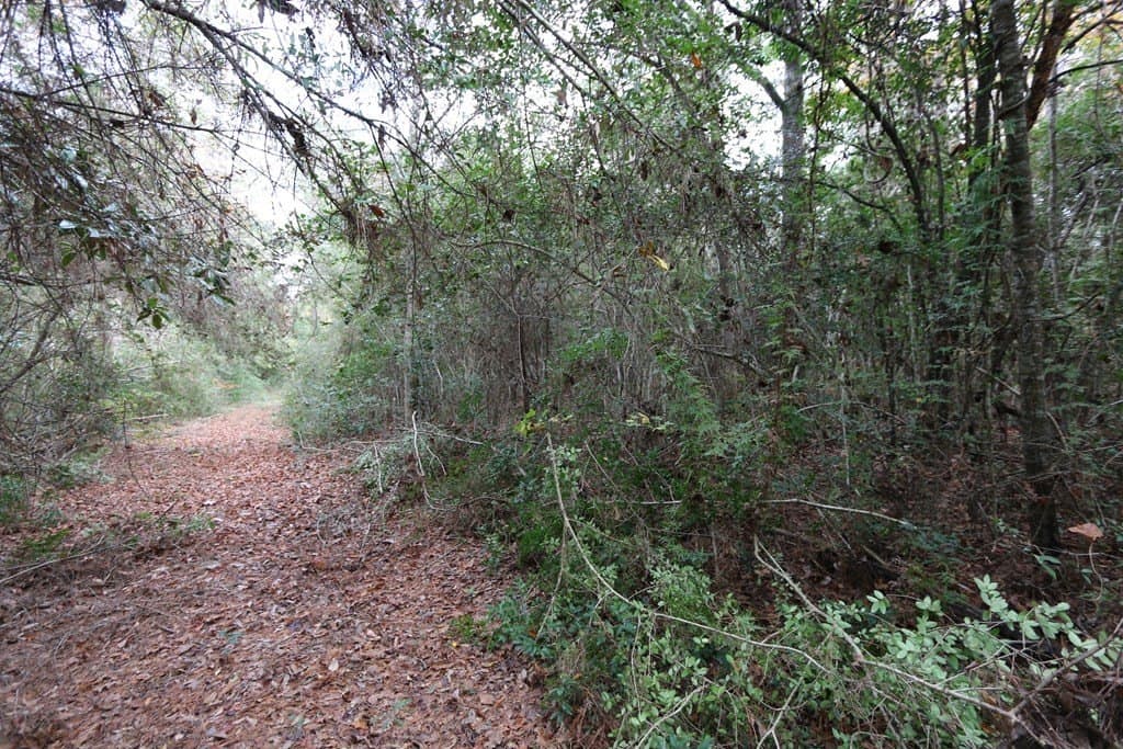 47.5 acres in Texas County - photo 12