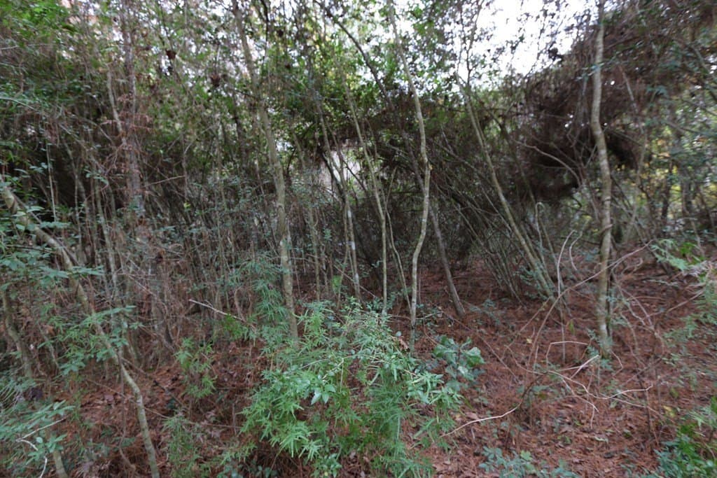 47.5 acres in Texas County - photo 13