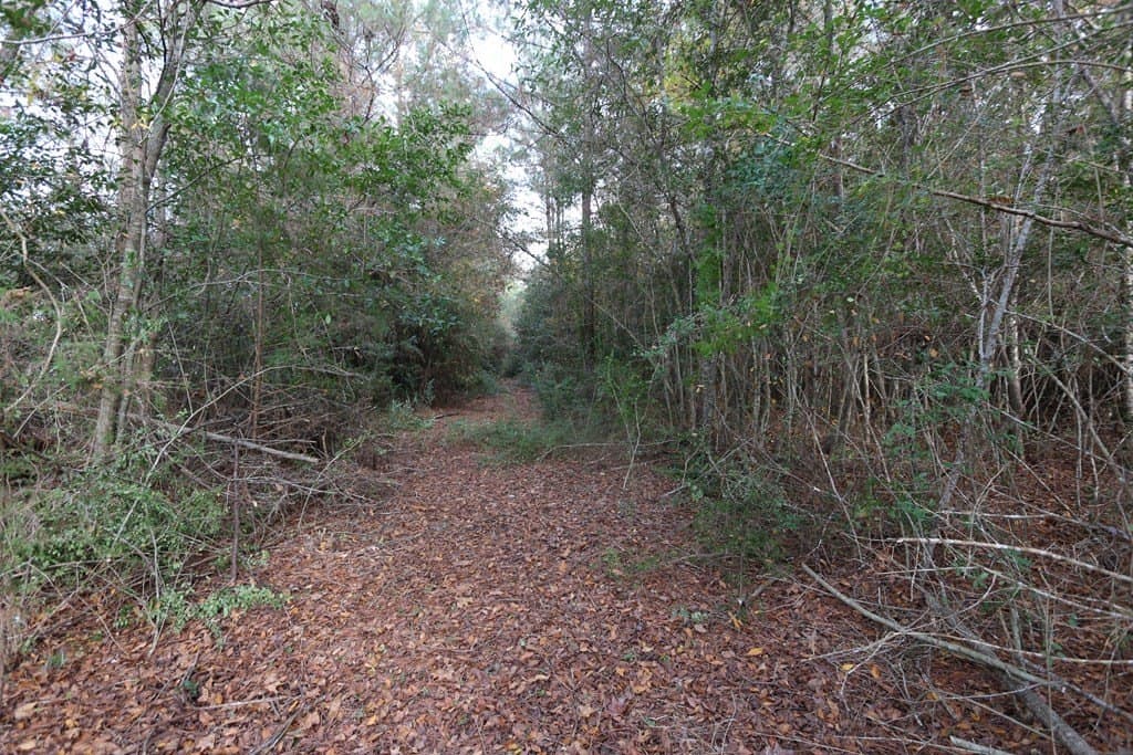 47.5 acres in Texas County - photo 10