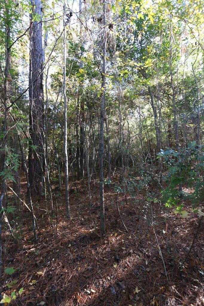 47.5 acres in Texas County - photo 18