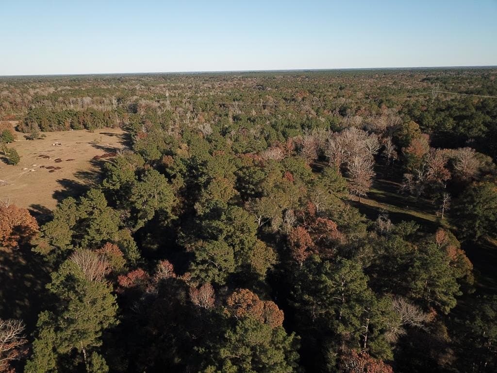 47.5 acres in Texas County - photo 24