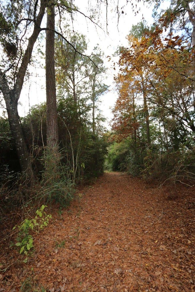47.5 acres in Texas County - photo 8