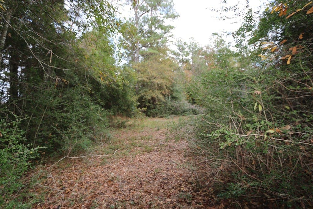 47.5 acres in Texas County - photo 9