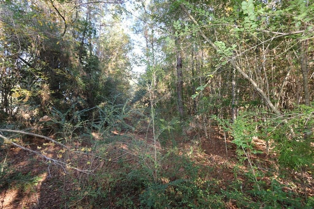 47.5 acres in Texas County - photo 17