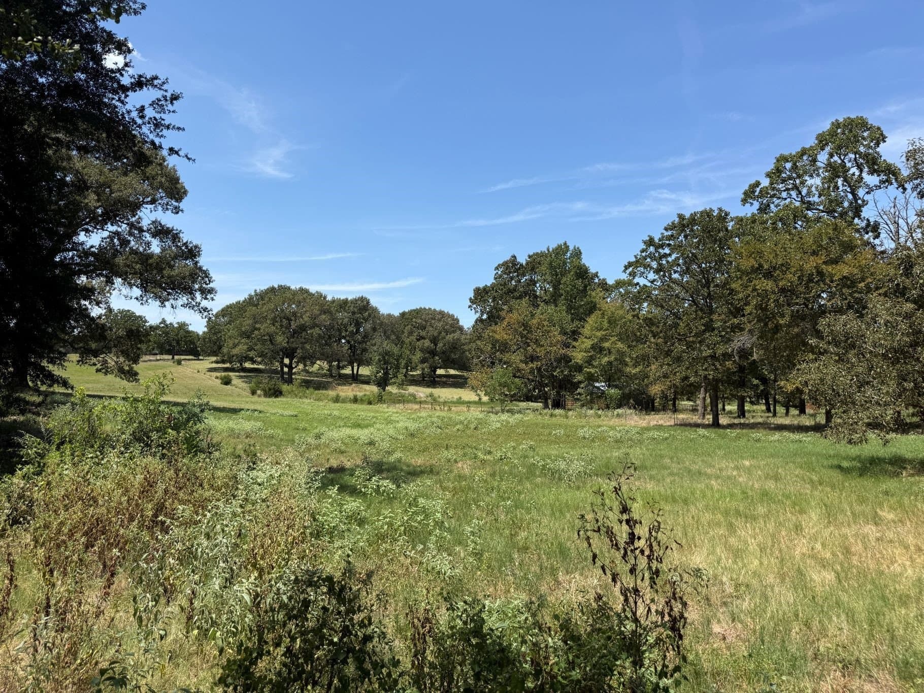17.19 acres in Smith County - photo 31