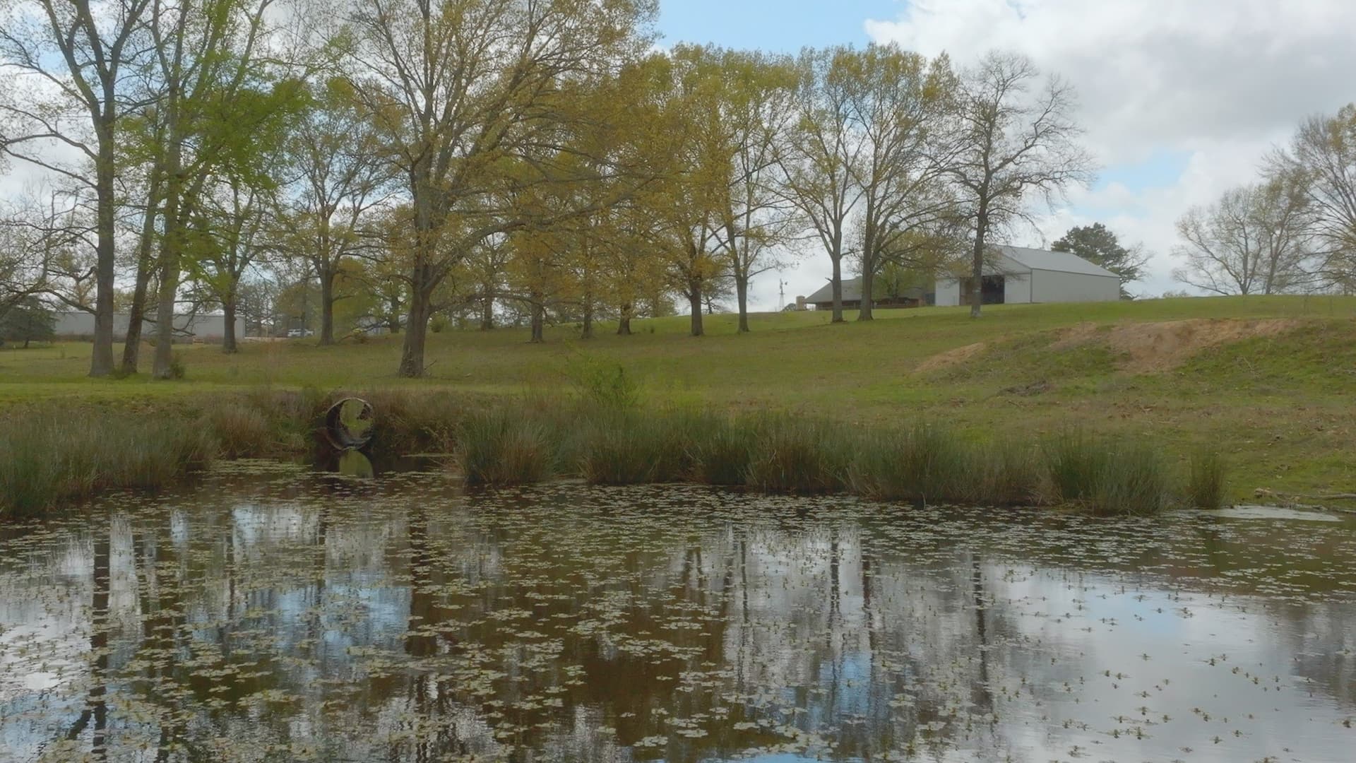 17.19 acres in Smith County - photo 29