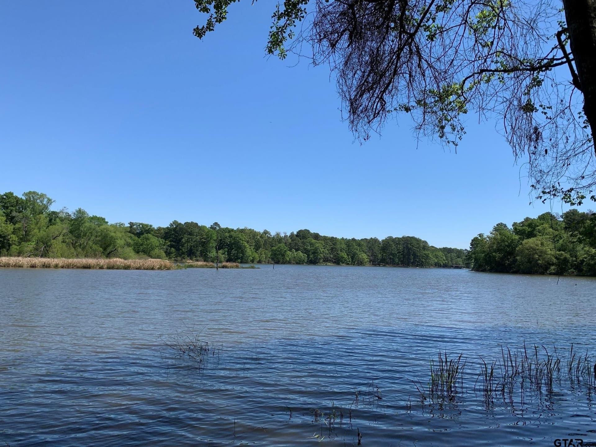 22.38 acres in Henderson County gallery image 2