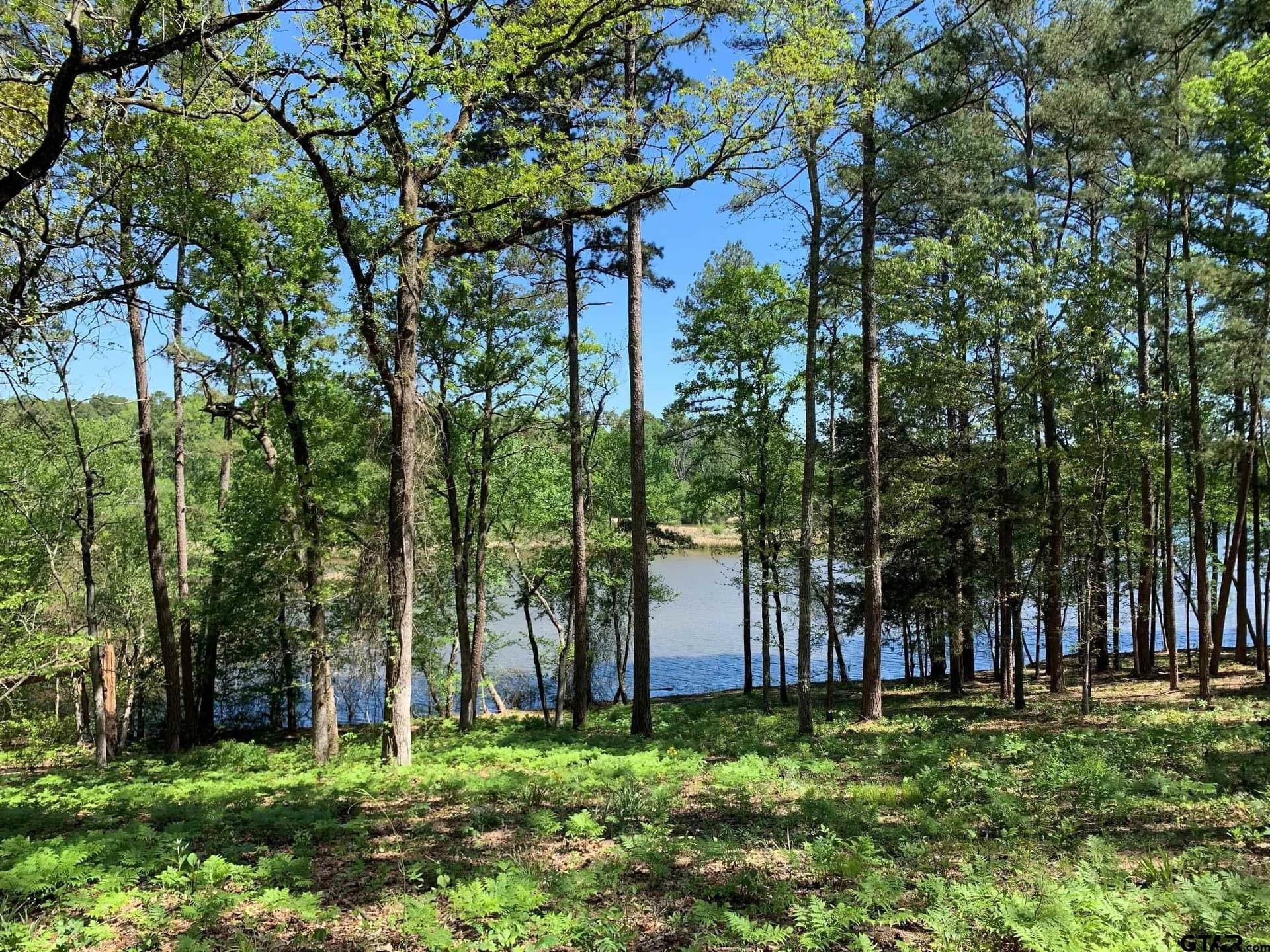 22.38 acres in Henderson County gallery image 4