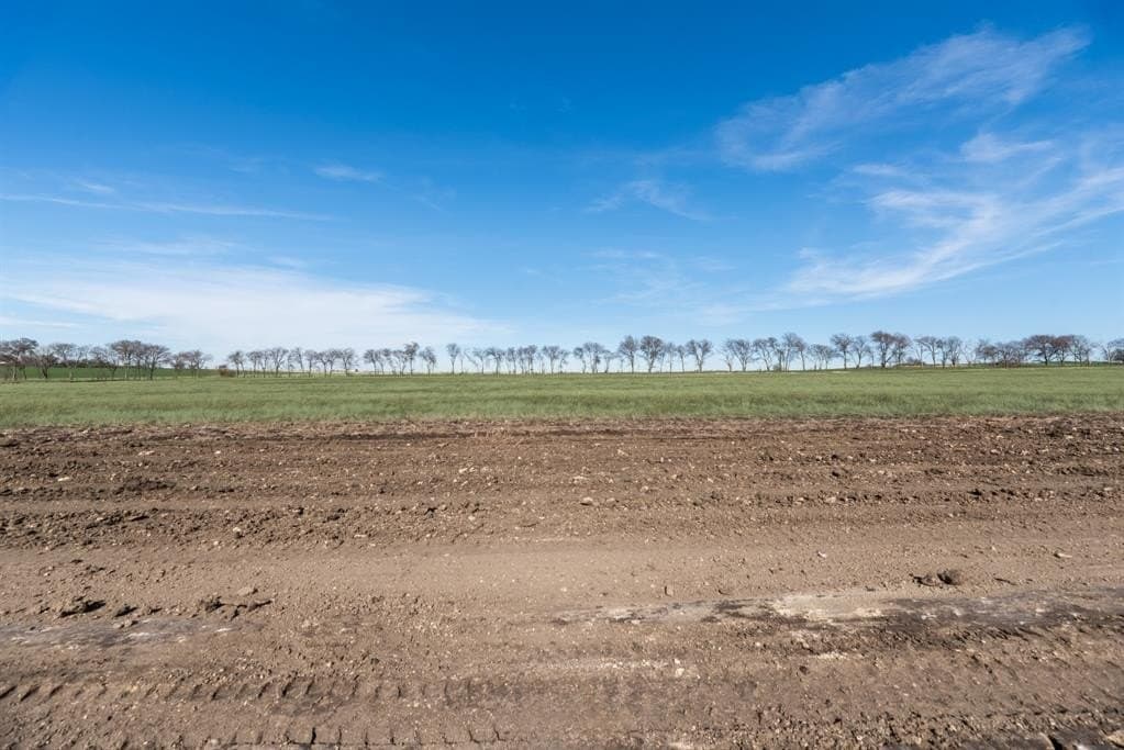 3.1 acres in Denton County gallery image 3