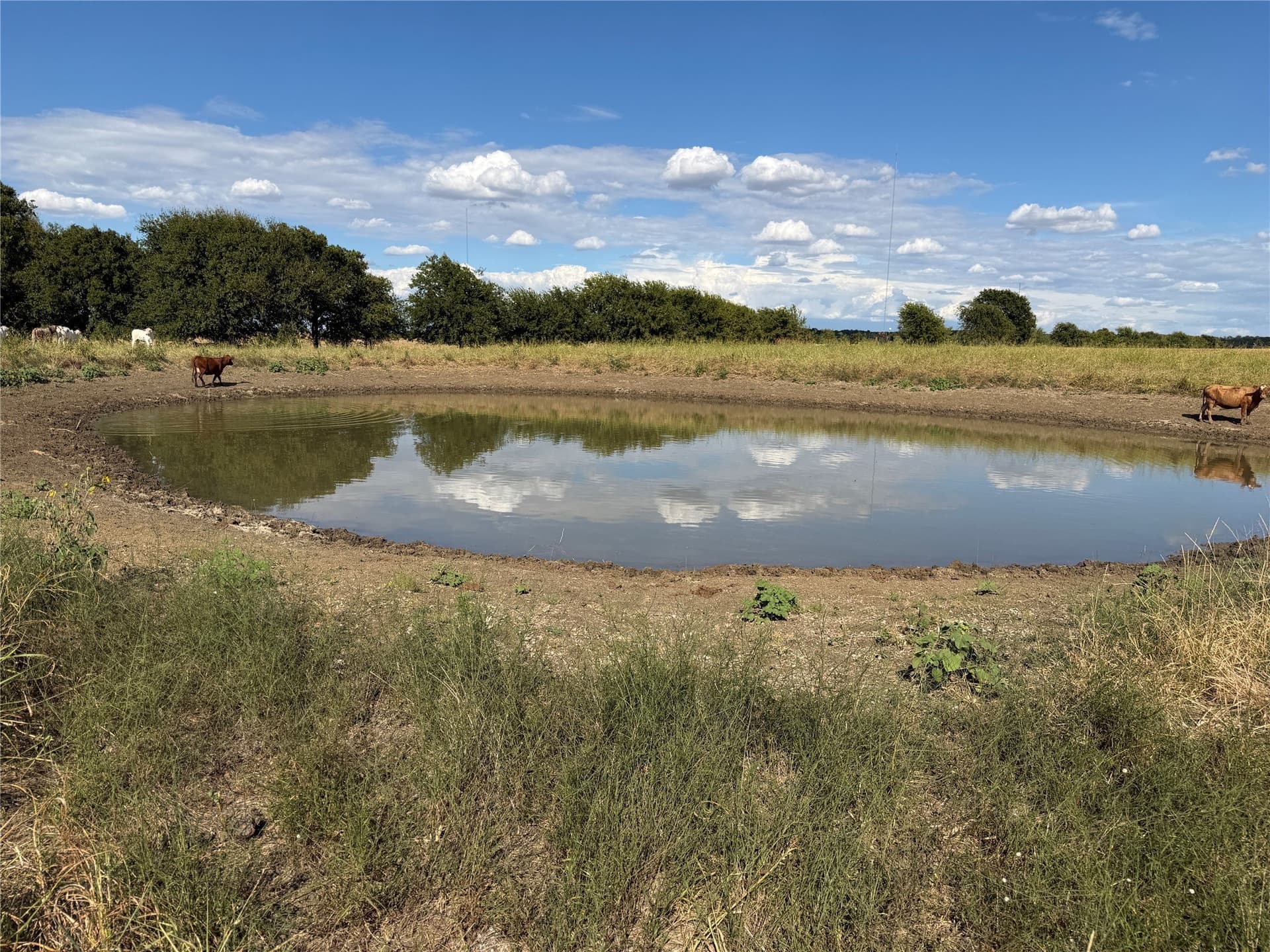 112.2 acres in McLennan County - photo 3